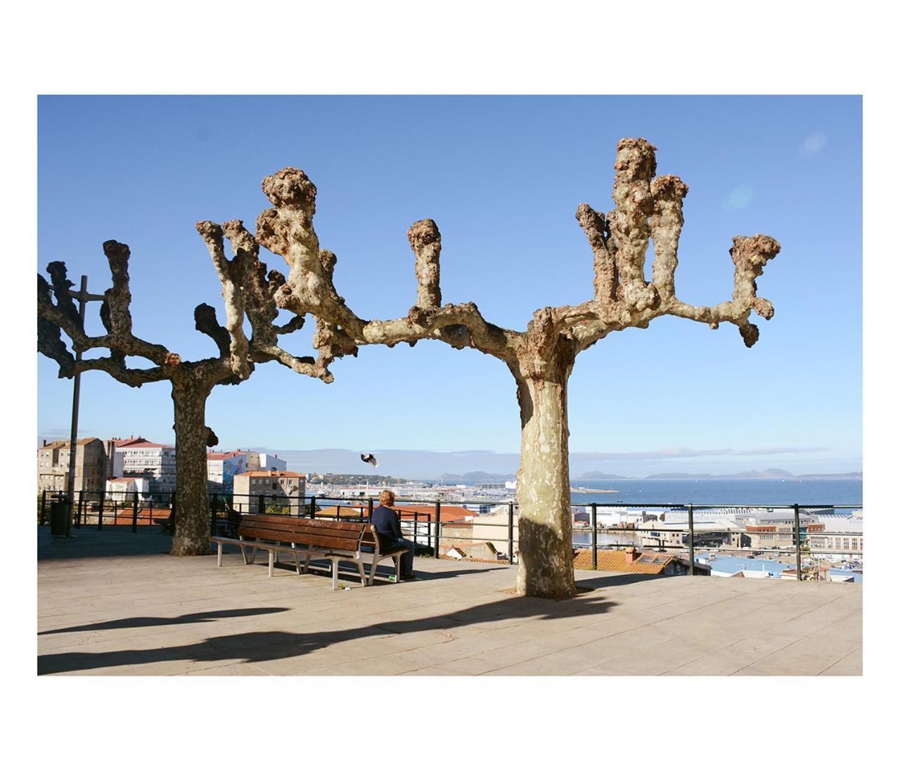 비고 Preciosas Vistas Y A Estrenar En El Casco Viejo Centro Ciudad 아파트 외부 사진